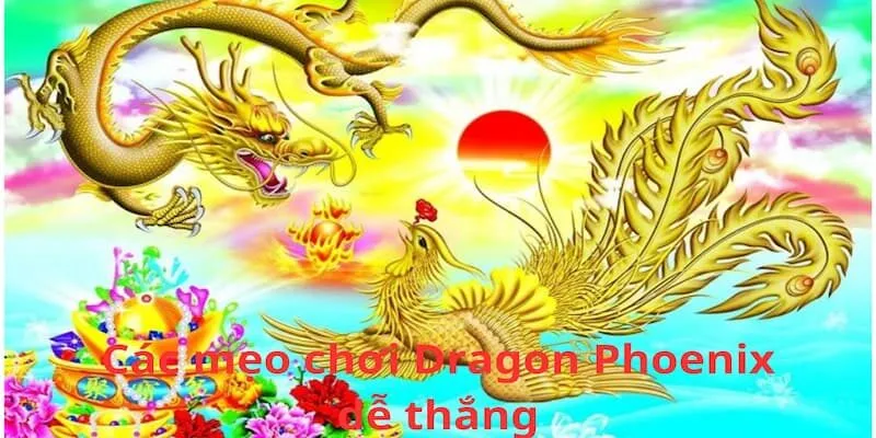 Một số mẹo chơi Dragon Phoenix dễ thắng từ các chuyên gia