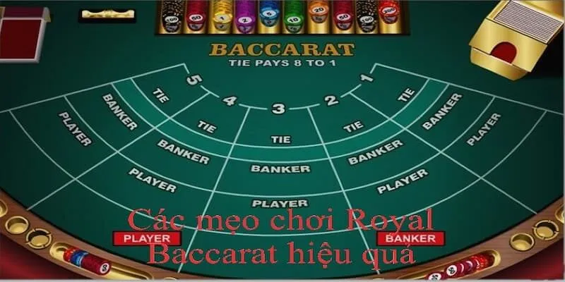 Những kinh nghiệm chơi Royal Baccarat hiệu quả từ các cao thủ lâu năm